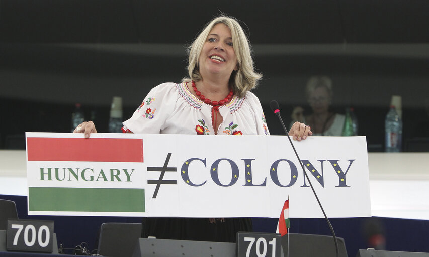 Снимка 2: Krisztina MORVAI in plenary session in Strasbourg