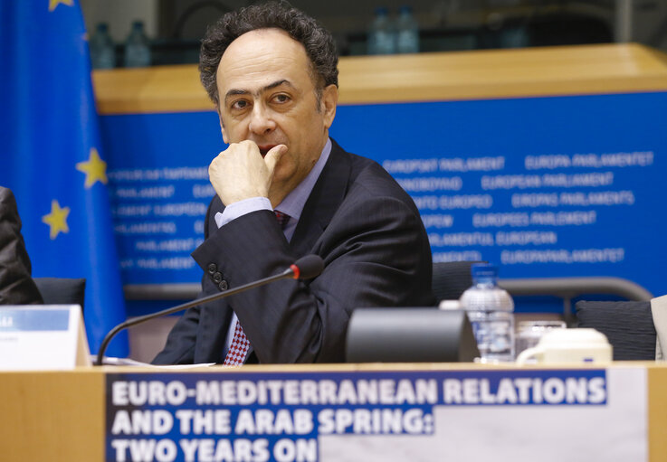 Euro Mediterranean relations and the Arab Spring : Two years on