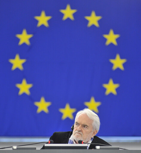 Photo 9 : Plenary Session week 27 2013 in Strasbourg - Conclusions of the European Council meeting (27-28 June 2013)