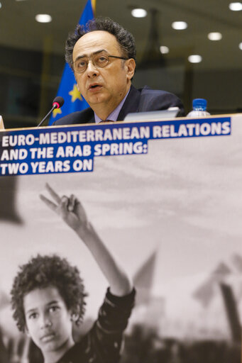 Fotogrāfija 12: Euro Mediterranean relations and the Arab Spring : Two years on