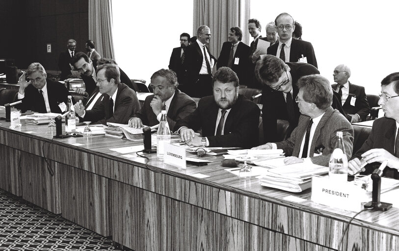 Interinstitutional Conference in Luxembourg on April 8, 1991.