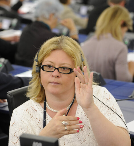 Φωτογραφία 10: Plenary session week 24 2013 - Fund for European aid to the most deprived