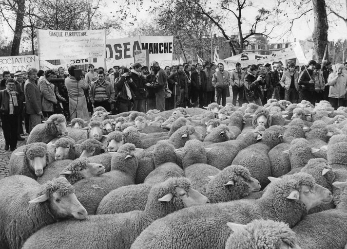 Снимка 2: Farmers protest on December 1985.