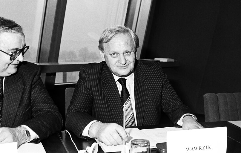 Foto 3: The MEPs Egon A. KLEPSCH and Kurt WAWRZIK during a session in January 1982.