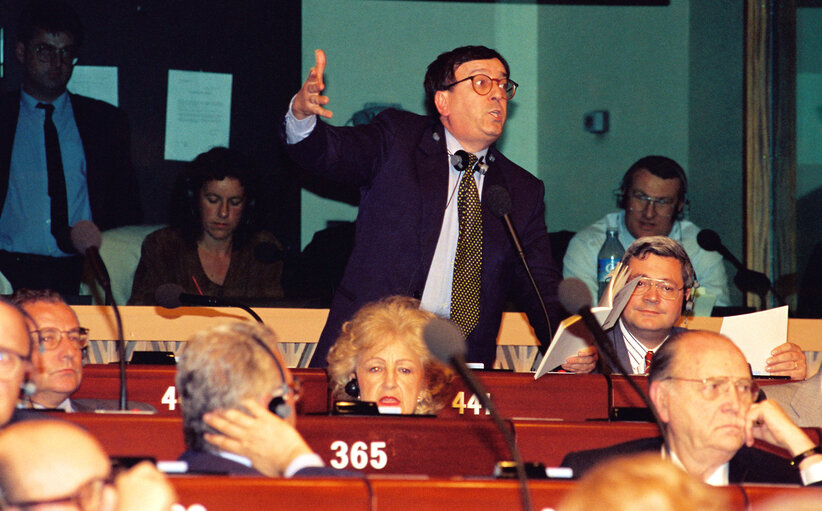 Fotografia 7: Plenary session in Strasbourg - Vote on the enlargement of the European Union for Norway, Austria, Finland, and Sweden