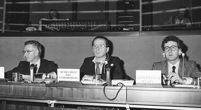 Conference of Regions in Strasbourg in October 1984.