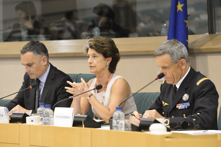 Valokuva 13: SEDE - Building European military capabilities, Exchange of views with Chief Executive Director, European Defence and Supreme Allied Commander Transformation, NATO