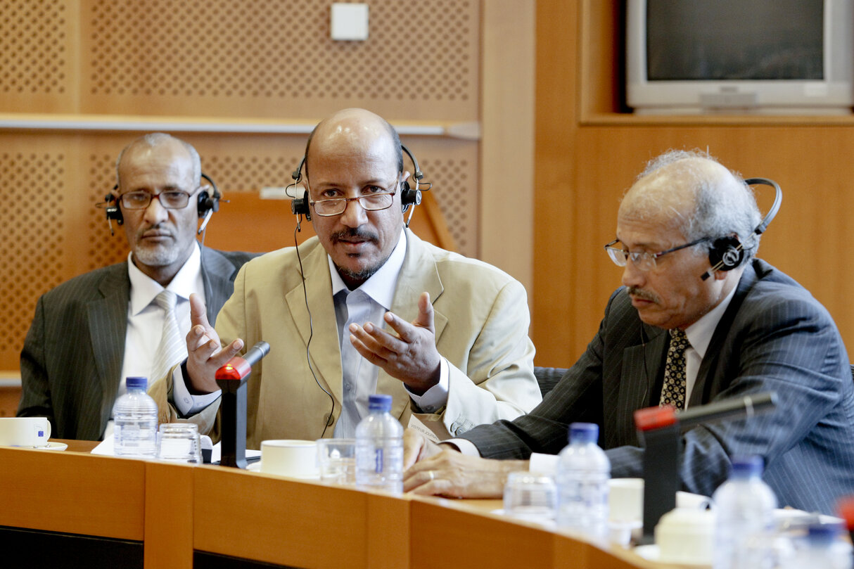 MEP Pier Antonio PANZERI meets with a delegation of of the National Assembly of Mauritania