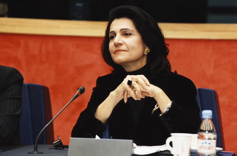 Rodi KRATSA TSAGAROPOULOU in a meeting at the EP in Strasbourg.