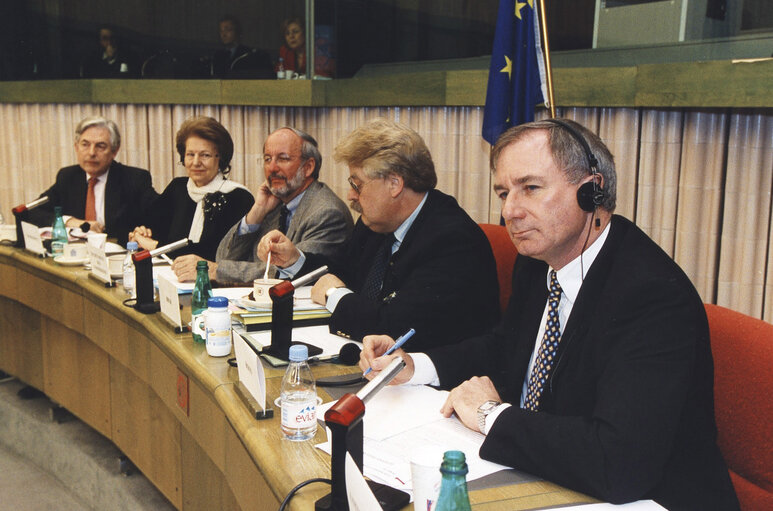 Foto 1: AFET Committee Exchange of views with the British Defence Minister.