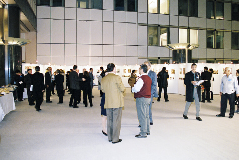 Exhibition on Living with traditional art on islands in EU the case of the island of Crete