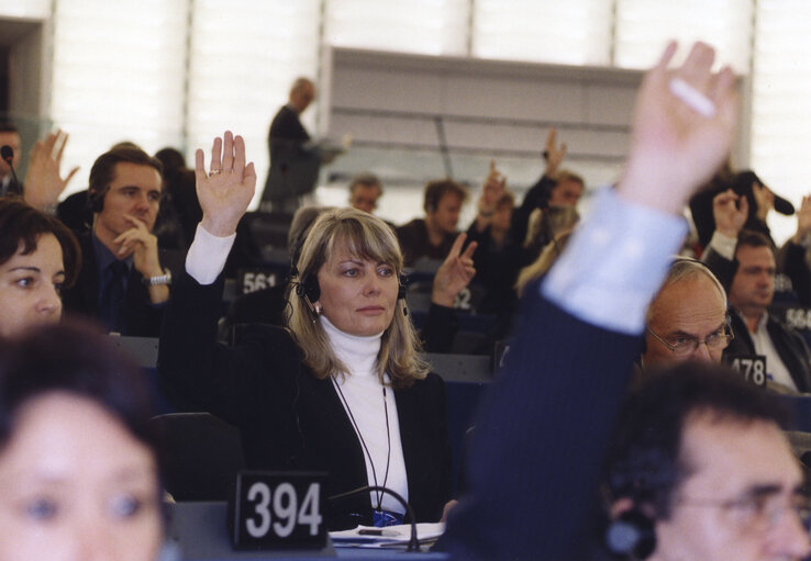 Valokuva 1: MEP during a meeting