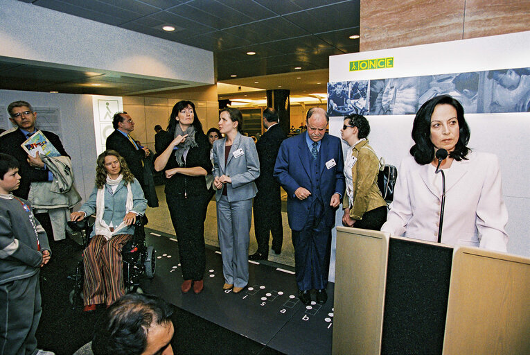 Zdjęcie 4: Exhibition: Integration of the Disabled in Society in Europe through Employment