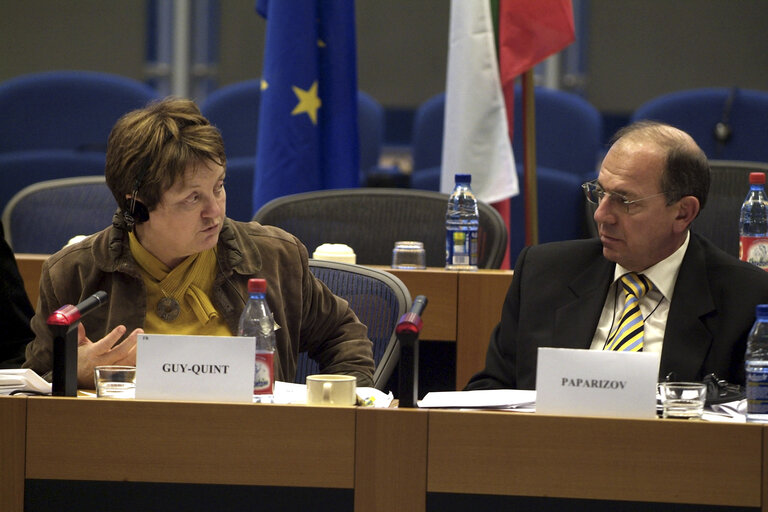 Fotografie 6: 20th meeting of the Joint Parliamentary Committee EU-Bulgaria.