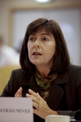 Suriet 2: Maria do Ceu PATRAO NEVES in a meeting at the EP in Brussels.