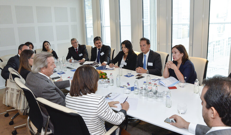 Fotografija 9: Euro-Latin American Parliamentary Assembly - Visit of the Andean Parlement and the National Assembly of Ecuador -