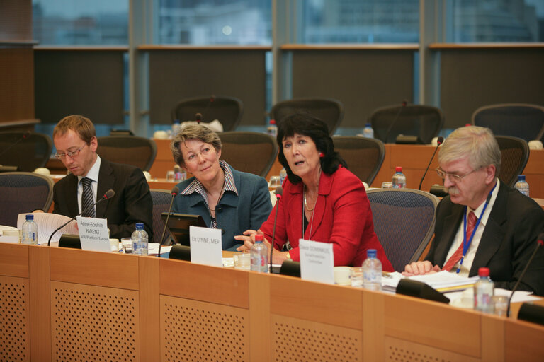 Foto 2: Age Platform Europe , EUSTACEA Project final conference