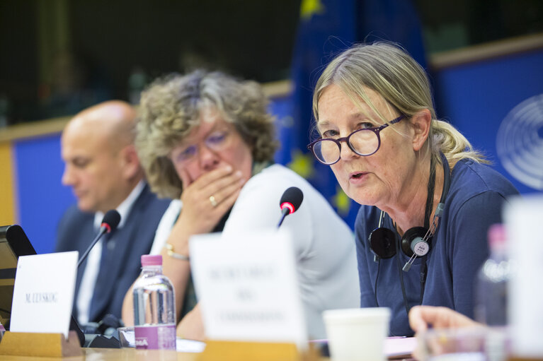 Fotografie 29: CULT-EMPL Joint public hearing - ' European Solidarity Corps '