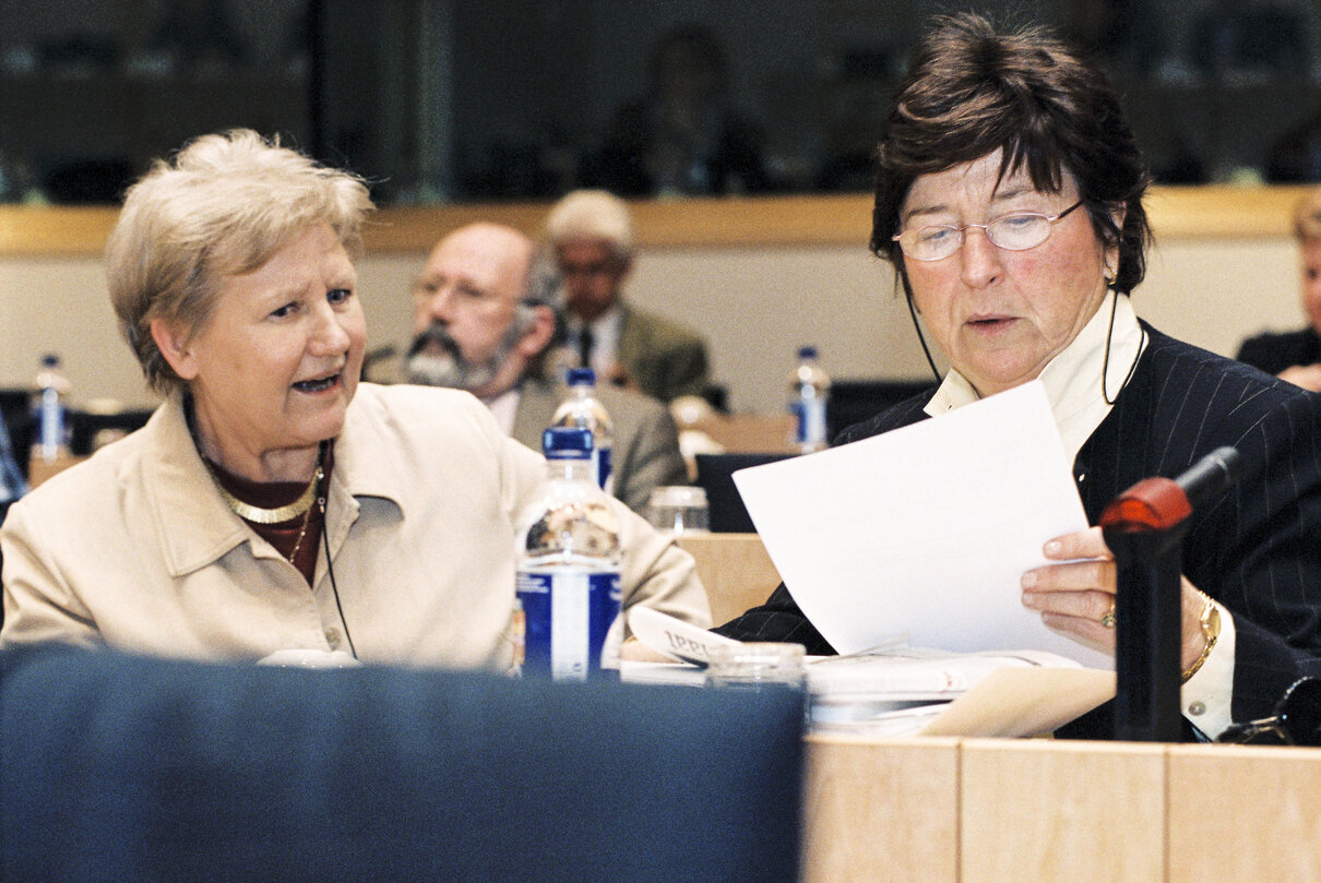 Conference at the European Parliament in Brussels