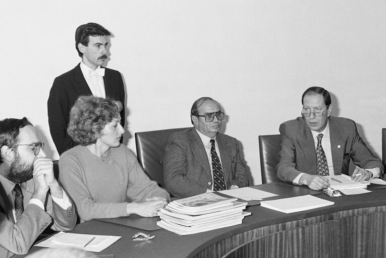 Fotografie 1: Meeting at the European Parliament