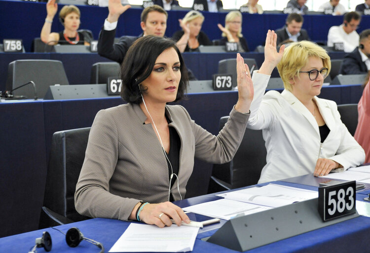 Elisabeth KOSTINGER voting during plenary session week 27 2017 in Strasborug