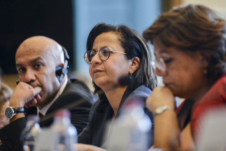 Foto 4: Interparlamentary Meeting EU - Algeria