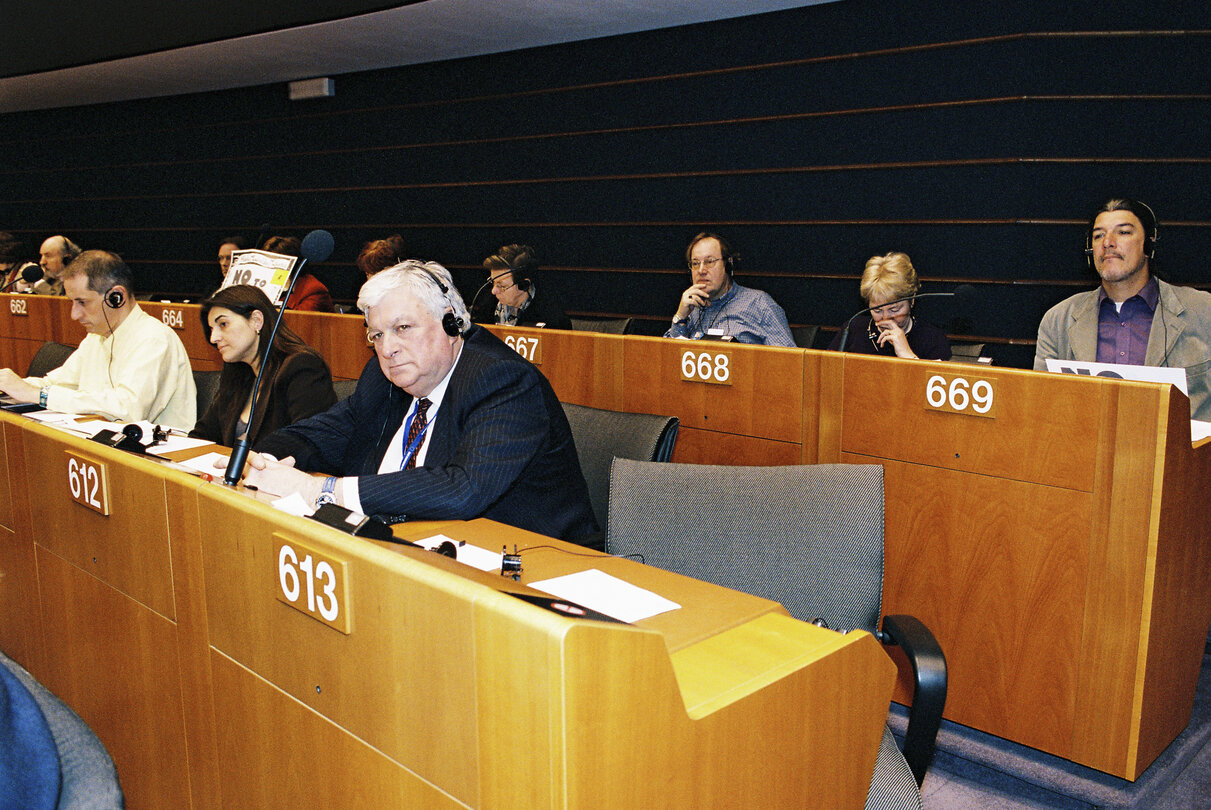 Plenary session in Brussels