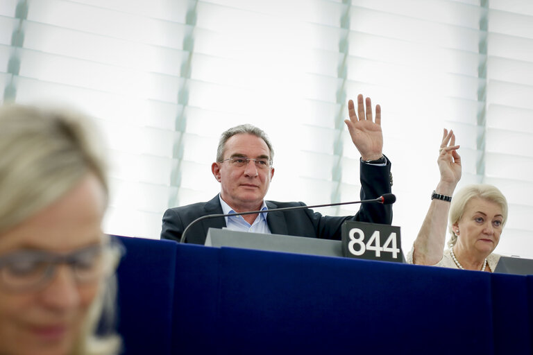 Iuliu WINKLER voting in plenary session week 27 2017 in Strasborug