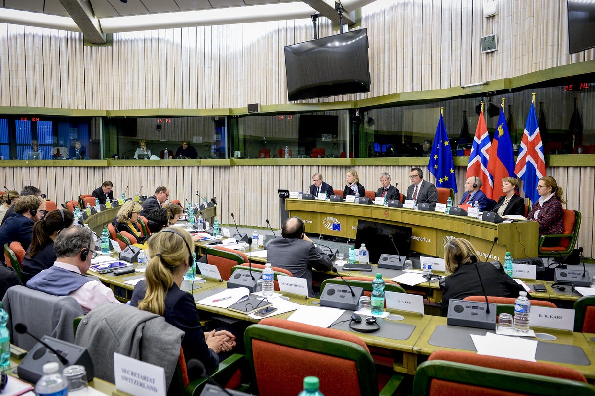 49th EEA Joint Parliamentary Committee meeting