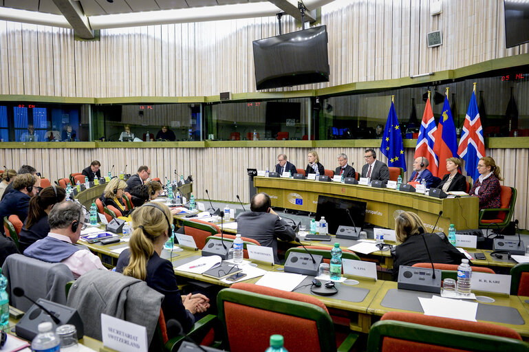 Fotografi 19: 49th EEA Joint Parliamentary Committee meeting