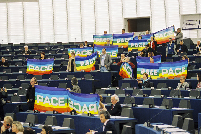 Fotografie 5: Greens Demonstration for Greenpeace in Plenary Session in Strasbourg in March 2003