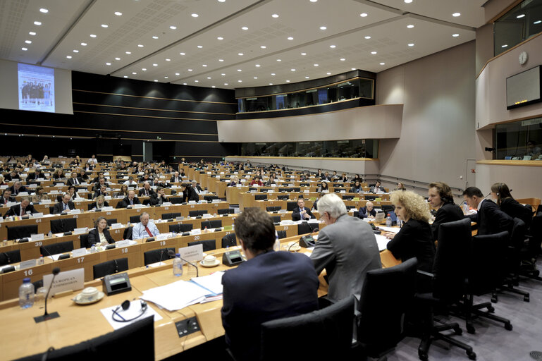 Foto 6: Interparliamentary Committee Meeting on The Internal Market for Professionals: How to Make it Work?.