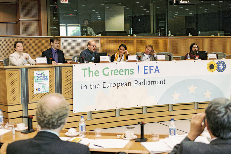 Снимка 1: Greens Conference on SMEs & Software Patenting at the European Parliament in Brussels