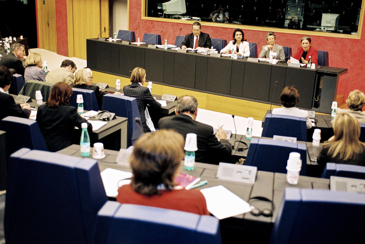 Meeting at the European Parliament in Strasbourg