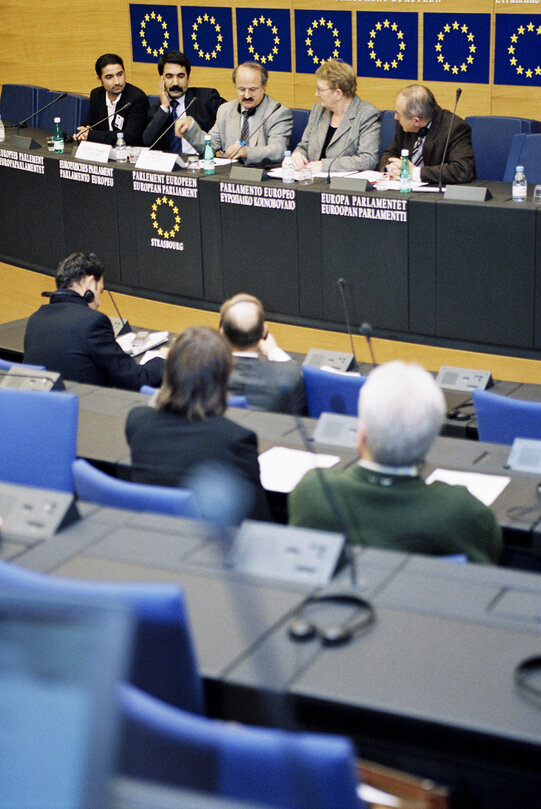 Press Conference on the situation of the Kurdish people at the European Parliament in Strasbourg