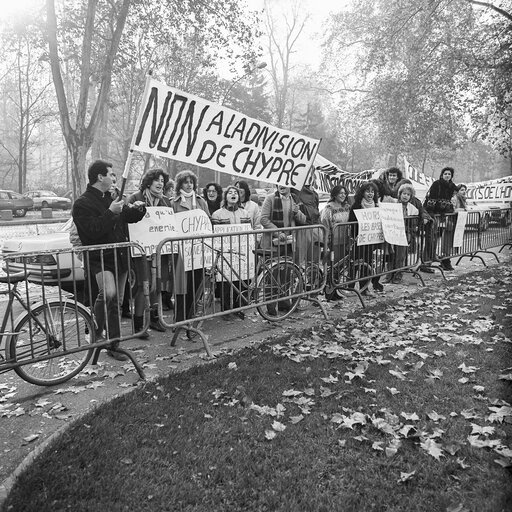 Action against the division of Cyprus in front of the EP in Strasbourg