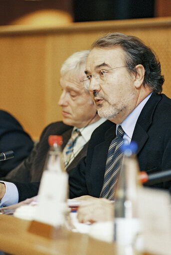 Foto 1: Discussion with Commissioner Pedro SOLBES MIRA on the autumn forecasts for the EU and the applicant countries