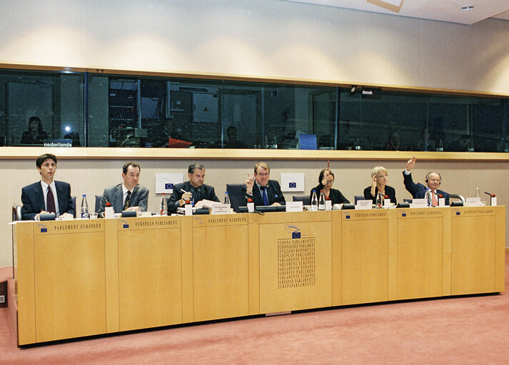 Fotografija 1: Meeting in Brussels on March 20, 2002.