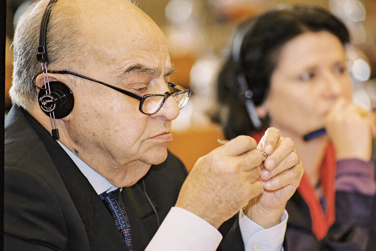 Foto 6: Public Hearing: European Heritage and Privatisation