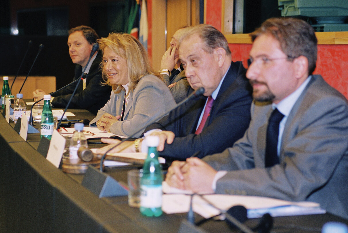 Meeting at the EP in Strasbourg