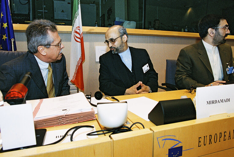 Fotografija 10: AFET Committee - Discussion with a delegation of the Iranian Parliament