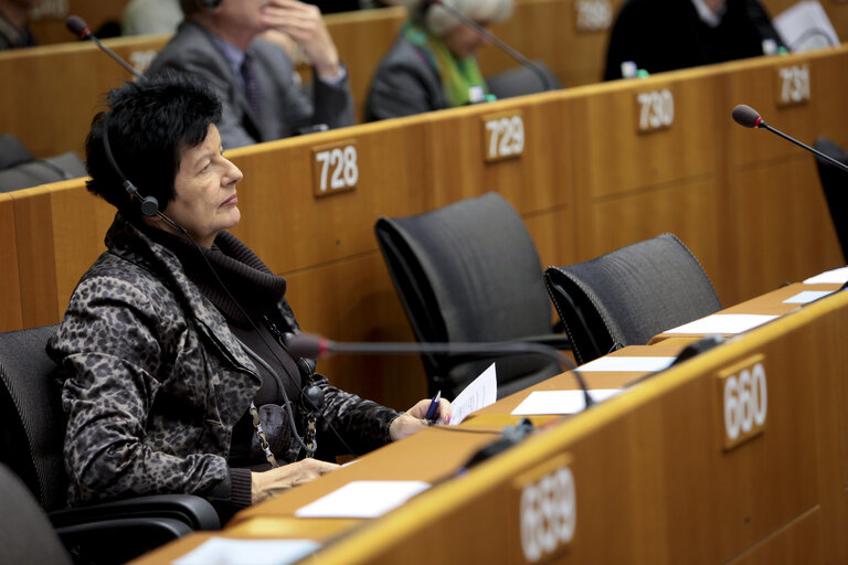 Foto 3: Joanna SENYSZYN  at the EP in Brussels.