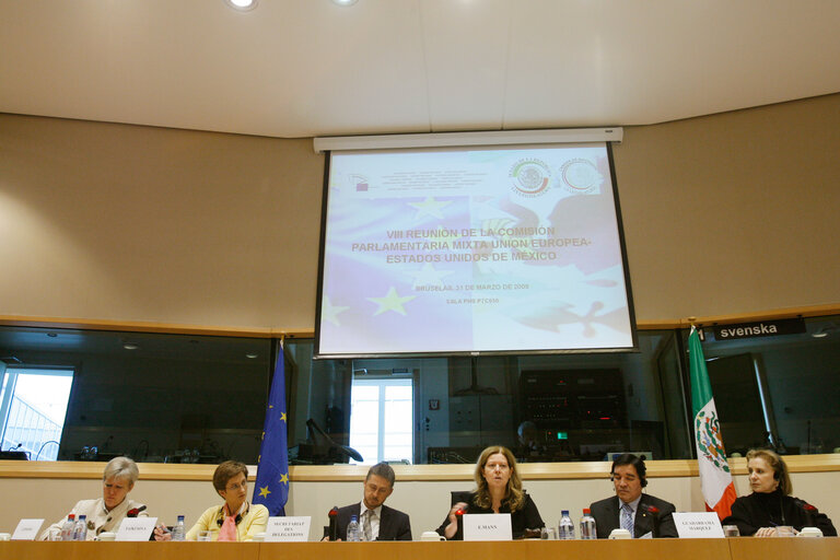 Foto 8: Joint parliamentary committee meeting EU - Mexico.