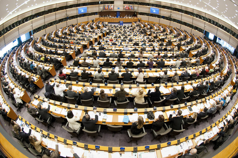 Plenary Session in Brussels - Week 5 - 2012