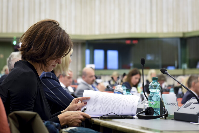 Fotografie 25: European union - Serbia stabilisation and association parliamentary committee (SAPC)