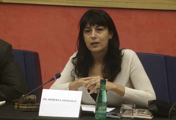 Billede 5: Roberta ANGELILLI in a meeting at the EP in Strasbourg.