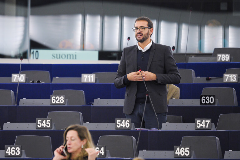 Plenary session week 41 2015 in Strasbourg - Explanations of votes