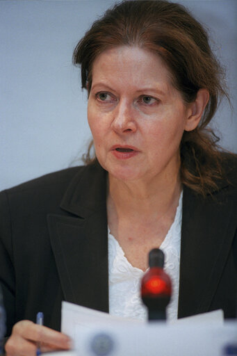 Fotografija 1: Parliamentary conference on the WTO.