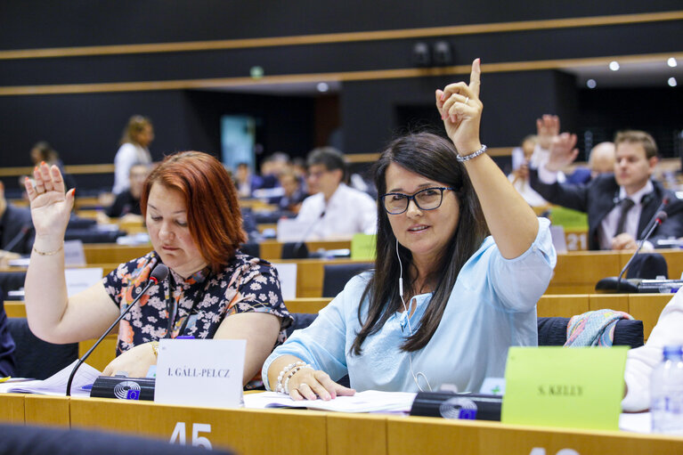 Fotografi 11: IMCO committee meeting. Vote on the Laying down rules on the making available on the market of CE marked fertilizing products