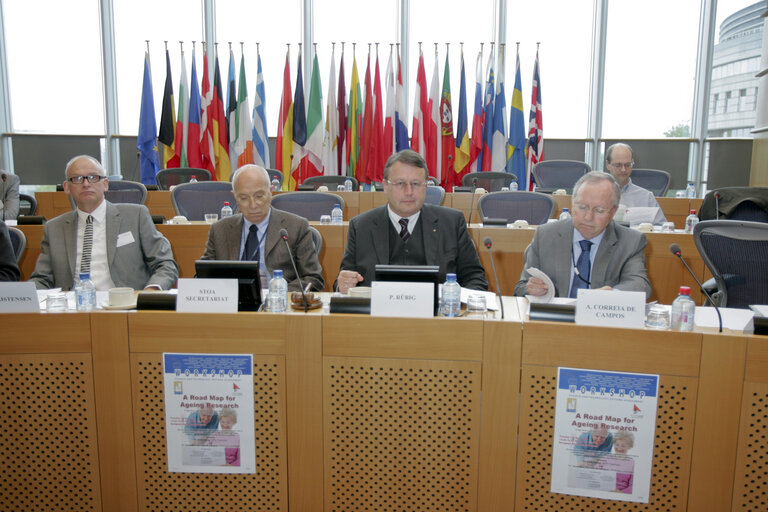 Foto 4: Workshop: A road map for Ageing Research